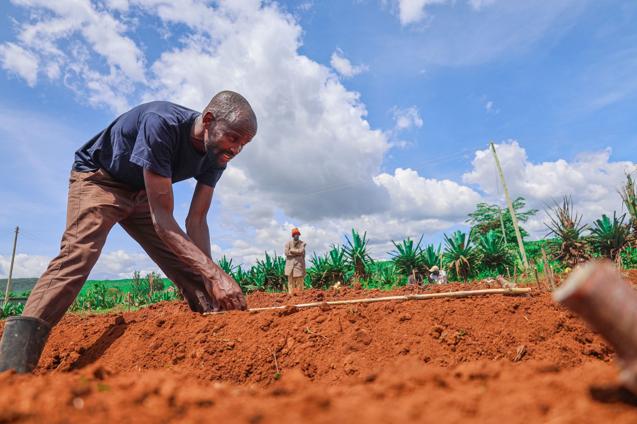 TAGDev farmer participant